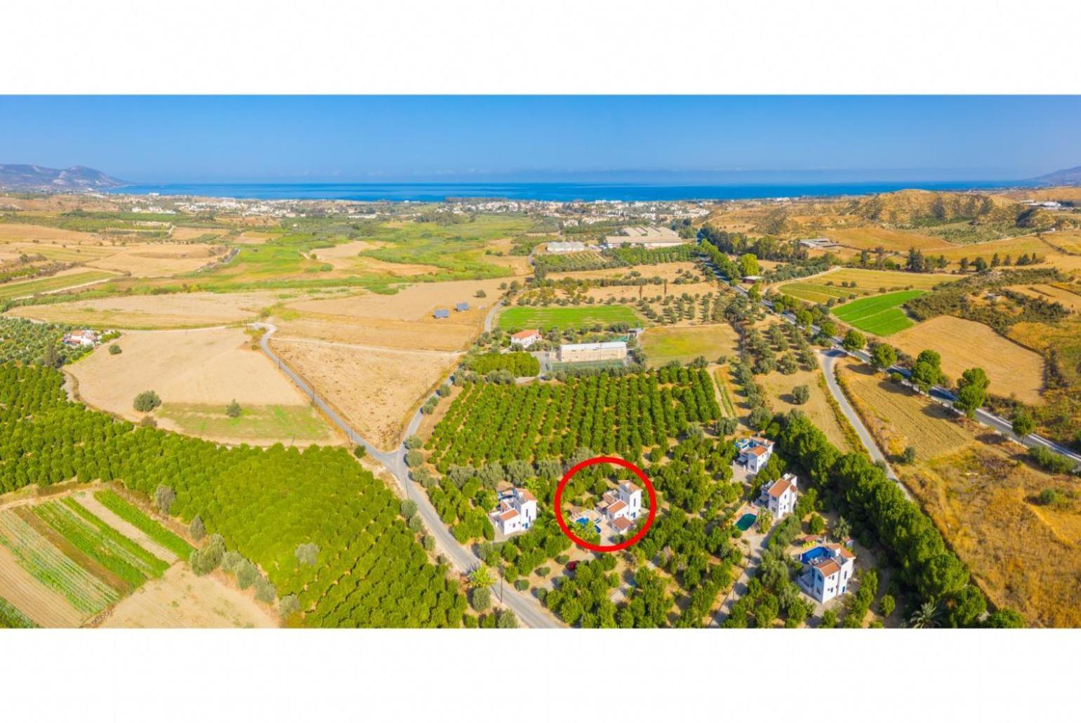 Villa Charoula Pente Paphos Exteriör bild